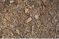 Wood Chips 0002